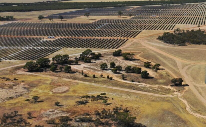 Western Australian Solar Farm Leads Way in Performance Stakes
